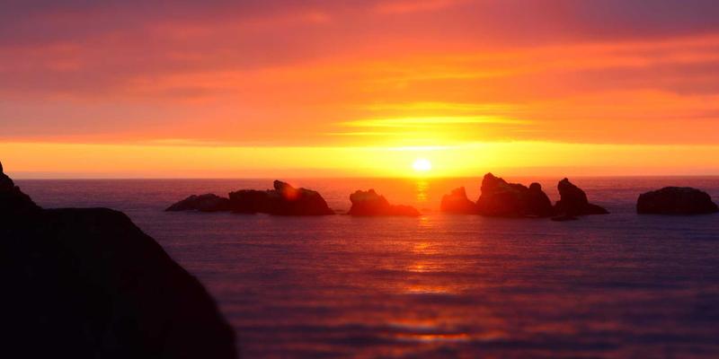 从蓝图到实景：BIM与VR如何重塑林轩园艺的景观设计可视化流程