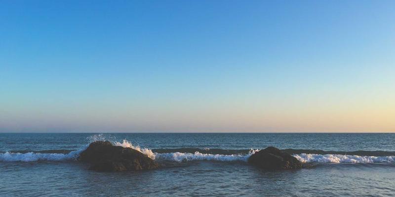 后疫情时代公共景观设计新趋势：开放空间、健康导向与社交距离的智慧融合 | 林轩园艺