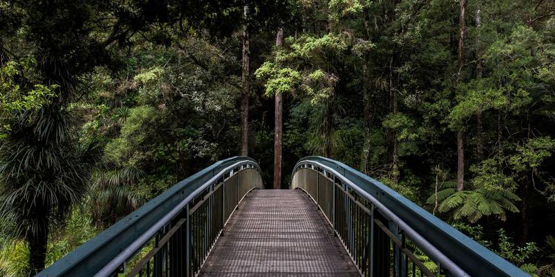 园林工程中的土壤改良技术：针对盐碱、板结等不良土质的实战解决方案 | 林轩园艺