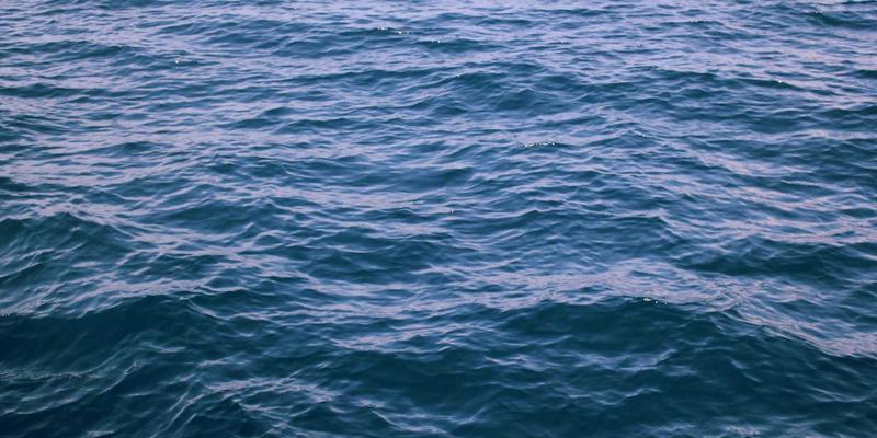 园林工程中的土壤科学：盐碱地、压实土等不良地基的改良策略 | 林轩园艺