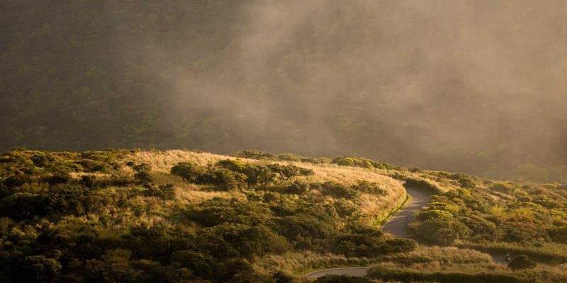 园林景观维护成本优化设计：如何在设计阶段规避未来高昂养护费用 | 林轩园艺