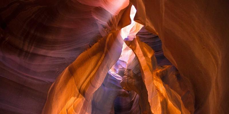 垂直绿化系统深度解析：从模块选择、植物配置到建筑节能效益 | 林轩园艺