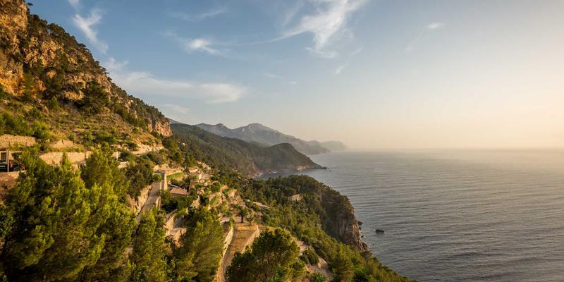 城市口袋公园设计指南：如何在有限空间内创造多功能绿色休憩地 | 林轩园艺