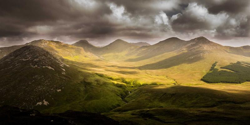 基于生物多样性的植物群落设计：为城市引入鸟类与传粉昆虫的景观营造指南 | 林轩园艺