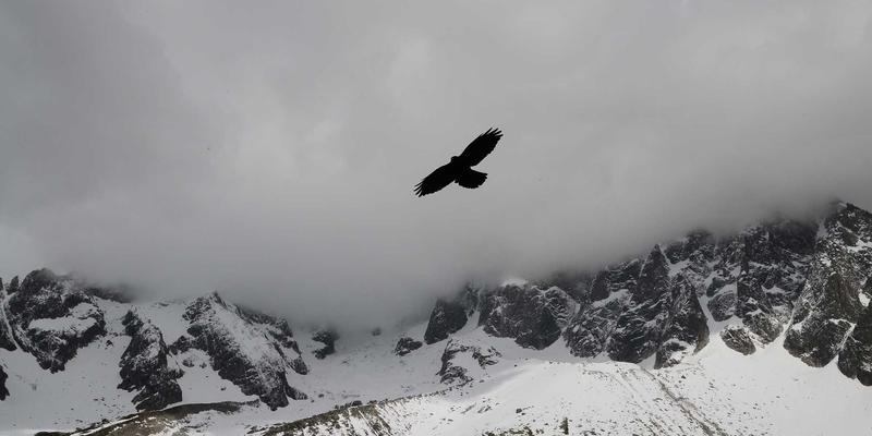 景观设计前期场地分析全流程：地形、日照、视线与人文历史要素深度解读 | 林轩园艺
