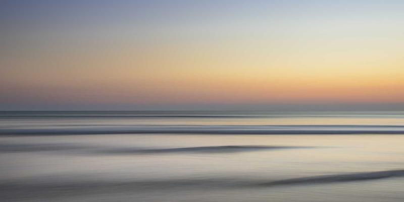 水景设计中的生态平衡：林轩园艺教您构建自净式景观水体，告别维护难题