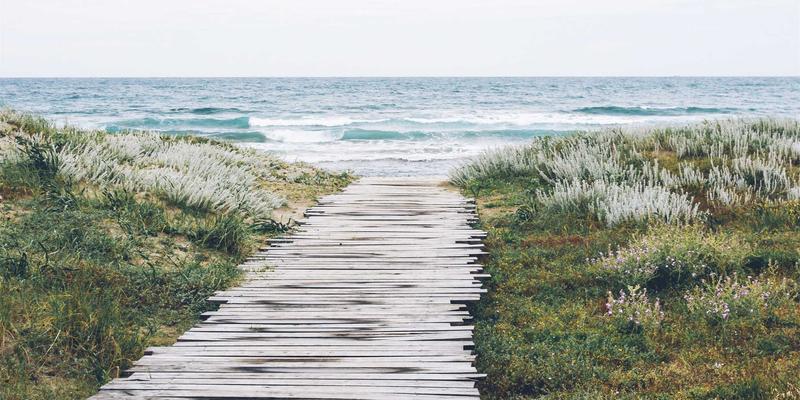 私家庭院功能分区艺术：巧妙规划餐饮、娱乐、冥想与种植区的4大法则 | 林轩园艺