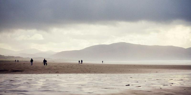 芳香植物在景观设计中的艺术：林轩园艺教你打造唤醒嗅觉记忆的疗愈花园